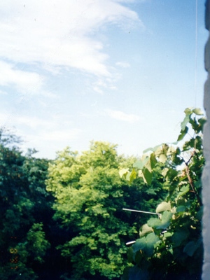 View from my window